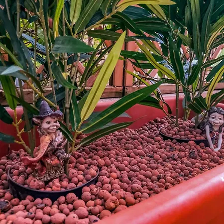 Apartment Milvio22 Rome